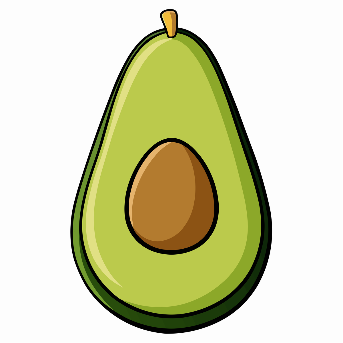 Green Fresh Avocado Illustration