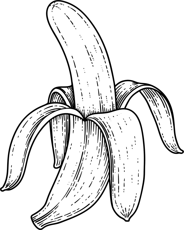 banana tree fruit blossom hand drawn retro illustration