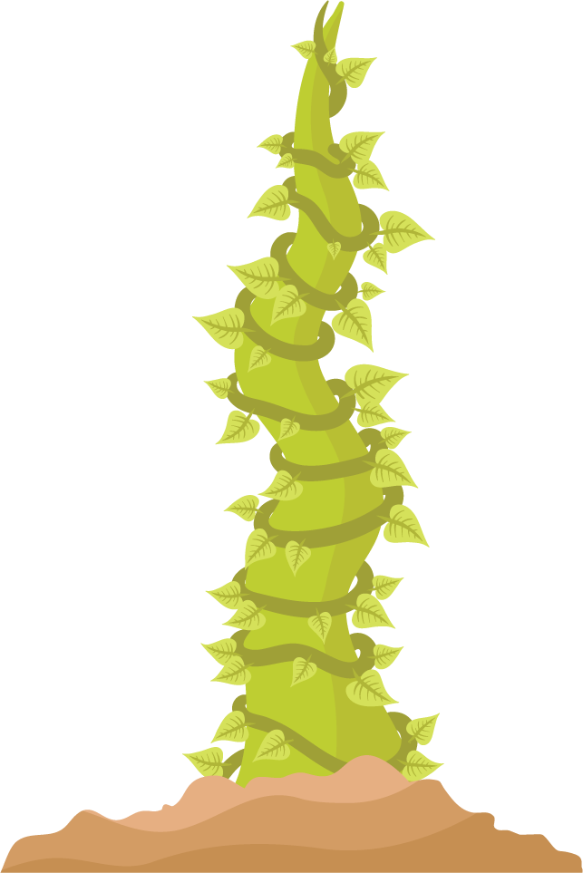 simple beanstalk illustration for nature themes or children’s educational materials