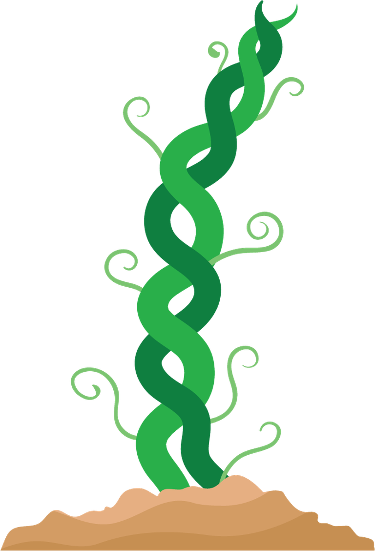 simple beanstalk illustration showcasing vibrant green vines sprouting from the ground