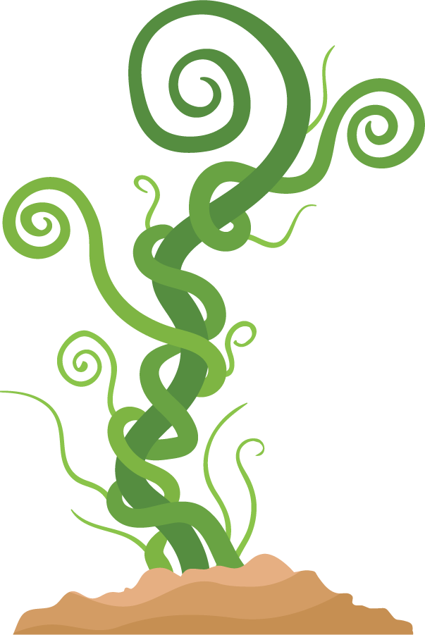 simple beanstalk illustration showcasing lively green twists and swirls for nature-inspired projects