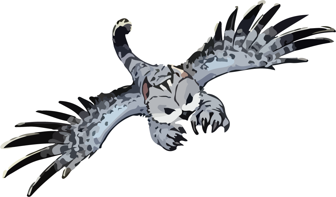 beast owl cat winged animal vector