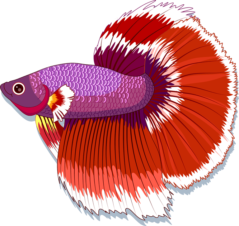 beautiful fish fishes background colorful icons decor