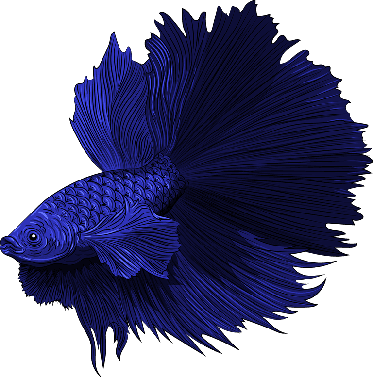 beautiful ornamental fish ornamental fish icons colorful sketch swimming species