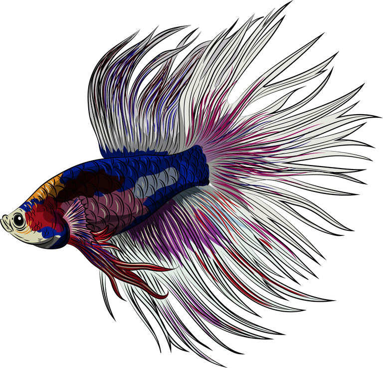 beautiful ornamental fish ornamental fish icons colorful sketch swimming species