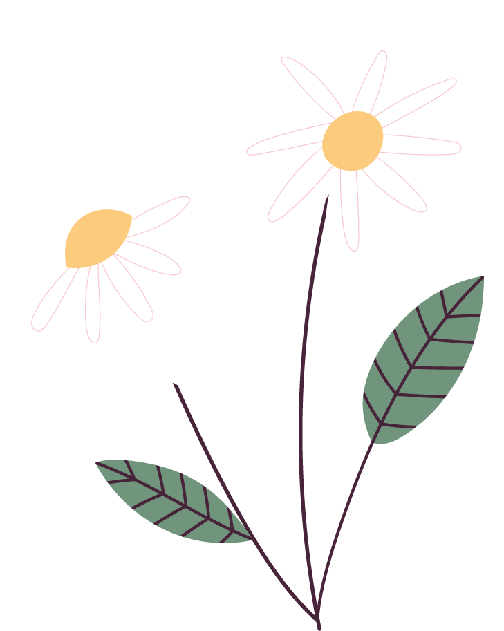 beautiful spring flower illustration