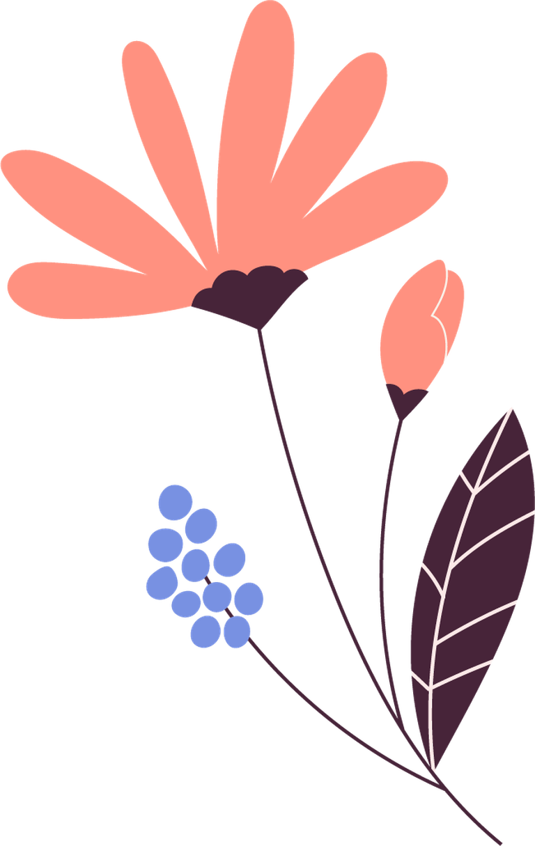 beautiful spring flower illustration