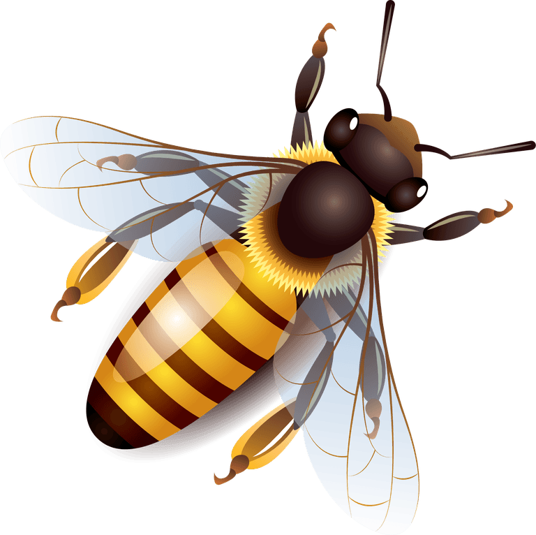 bee bee honey dripping effect background vector