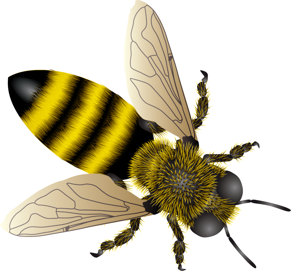 bee bee honey honeycomb vector illustration featuring vibrant colors and intricate details