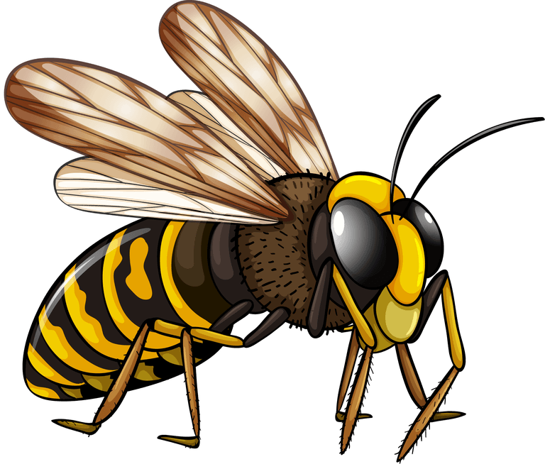bee reptile insect nature