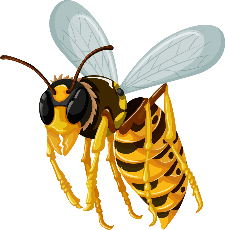 bee set insect character with vibrant colors and playful style for educational materials