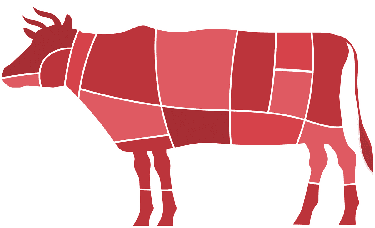 beef meat butcher set showcasing cuts of meat for culinary enthusiasts and professionals