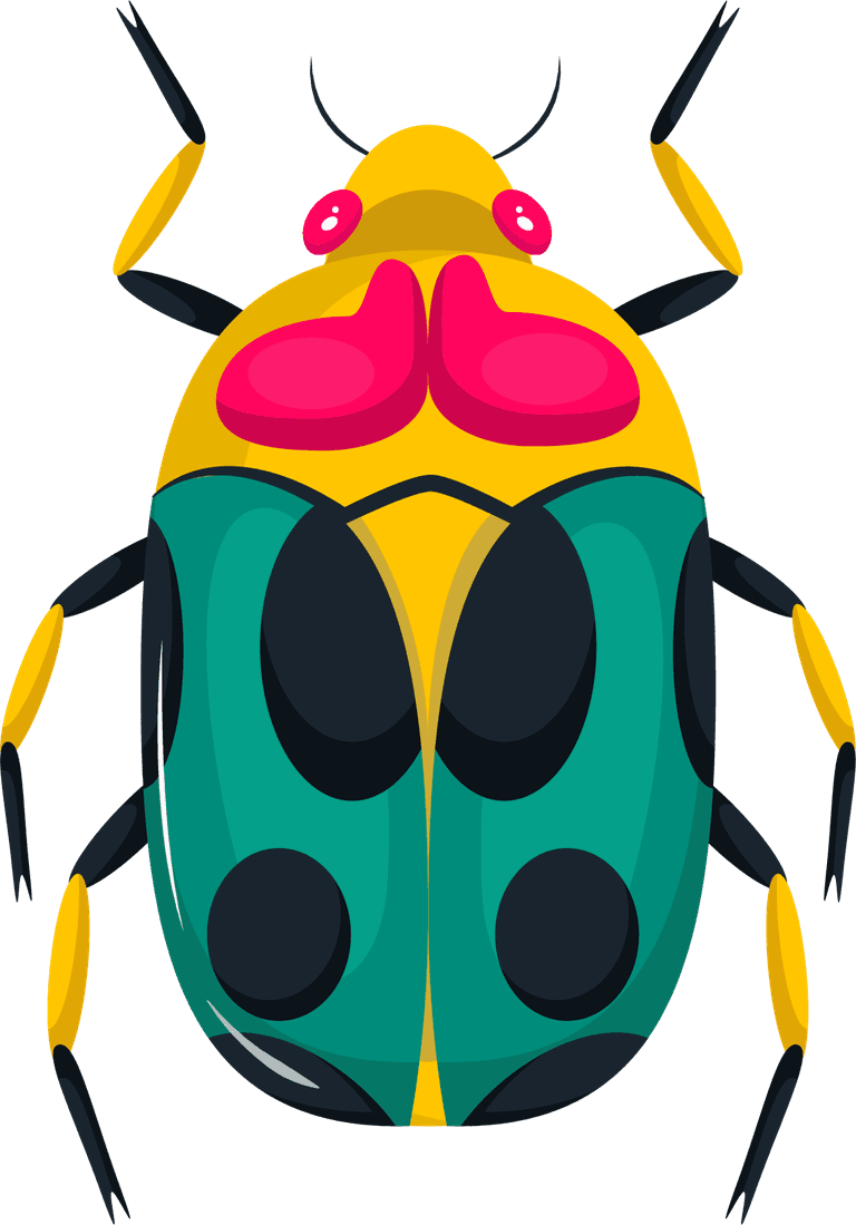 beetles bugs insects icons colorful symmetric 