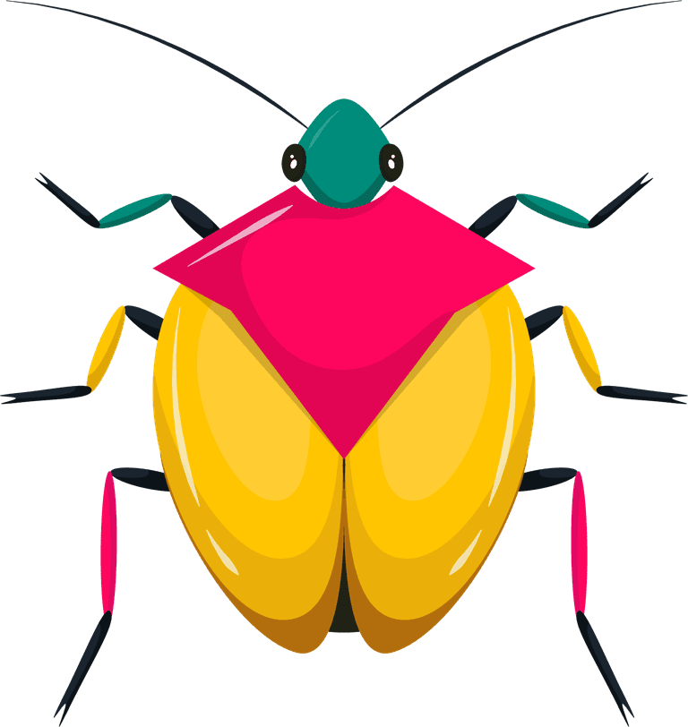 beetles bugs insects icons colorful symmetric 
