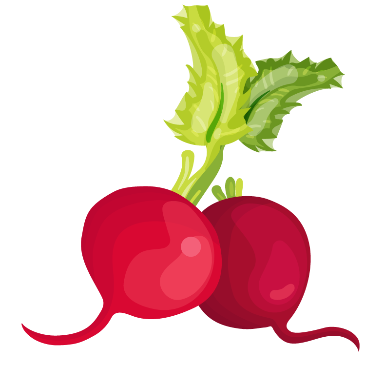 beetroot vegetables herbs collection for fresh cooking and vibrant salads