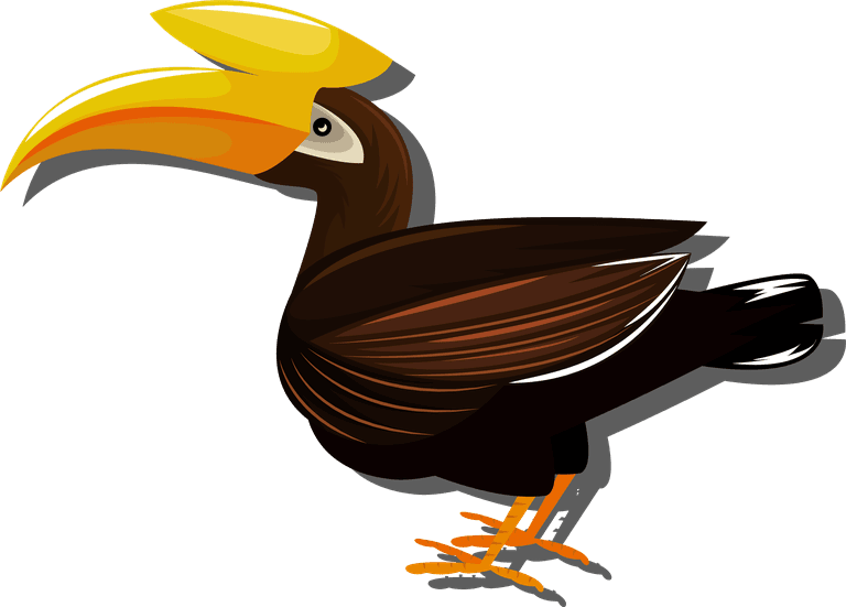big billed bird birds species icons eagle toucan stork vulture sketch