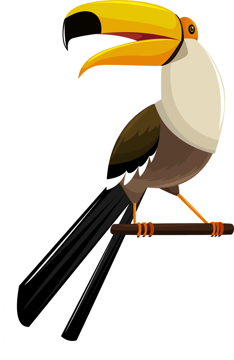 big billed bird birds species icons eagle toucan stork vulture sketch