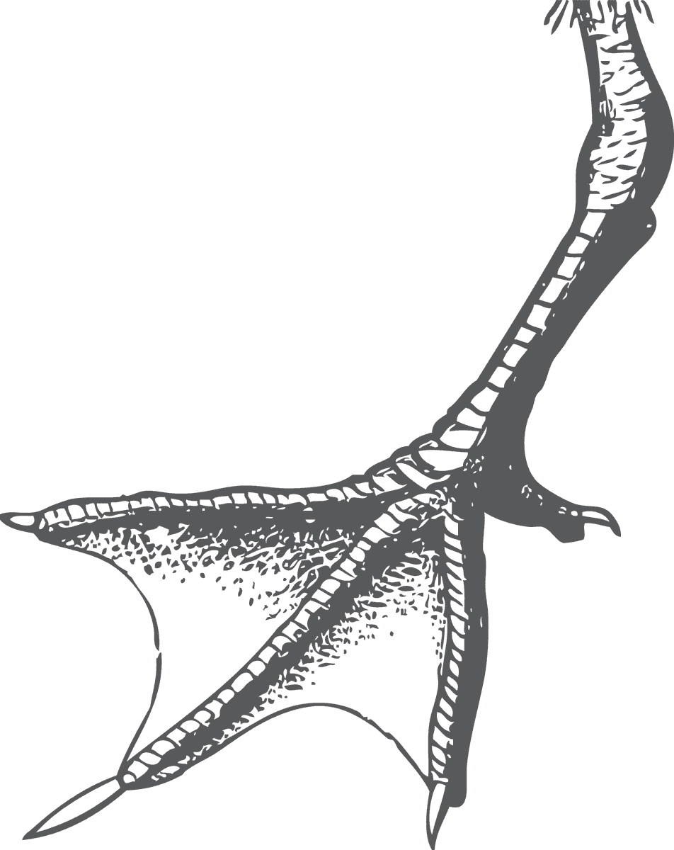 bird head and claws illustration in a striking organic style for nature enthusiasts