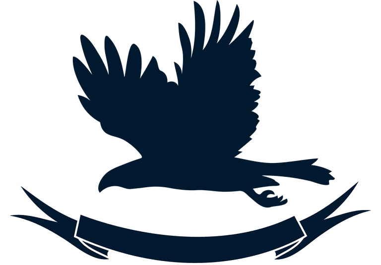 bird logo eagles silhouettes