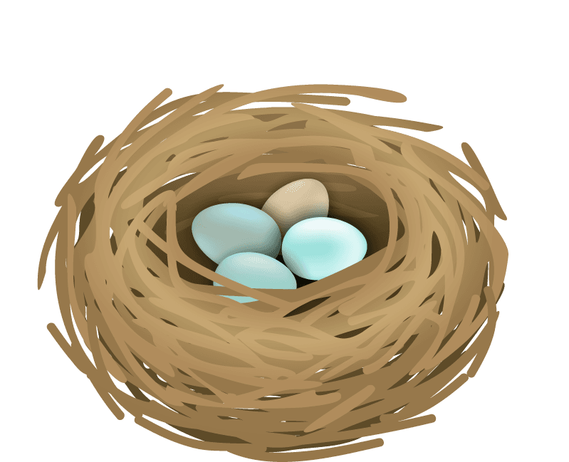 bird nests and eggs birds nest set with editable text realistic images birds with wild