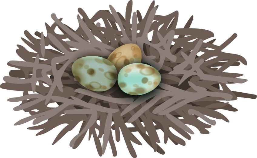 bird nests and eggs birds nest set with editable text realistic images birds with wild