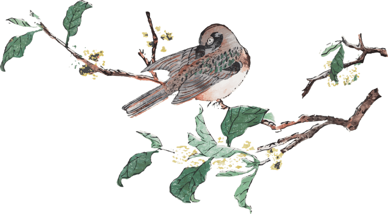 bird perching tree art print set remixed from artworks by hu zhengyan