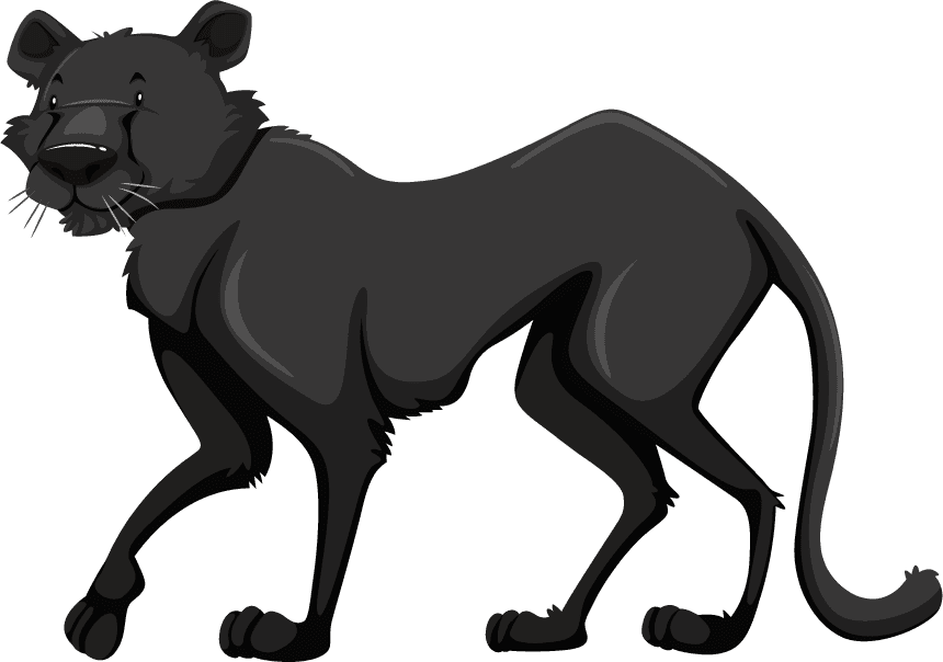 black panther set wild animals