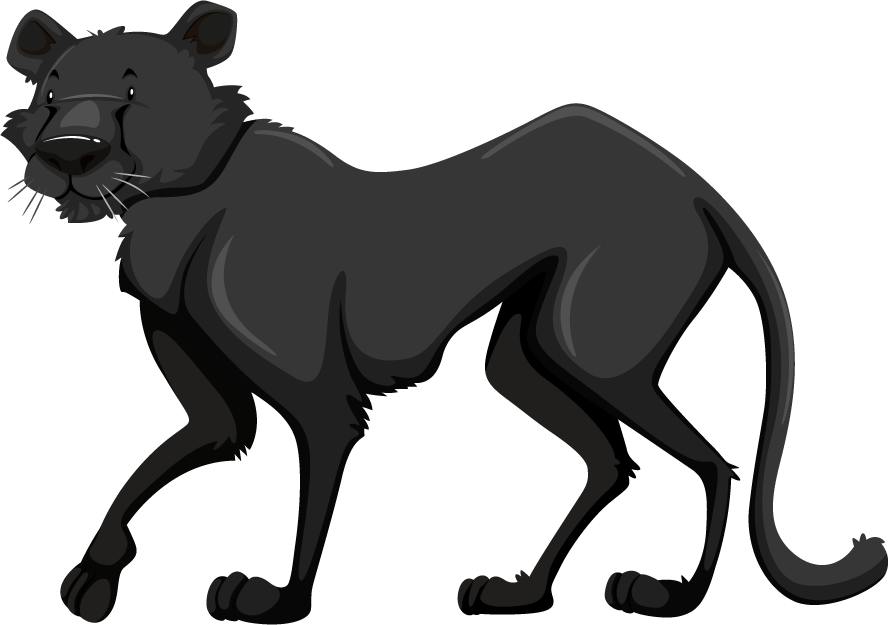 black panther wild animals in a playful style for children's illustrations and nature projects