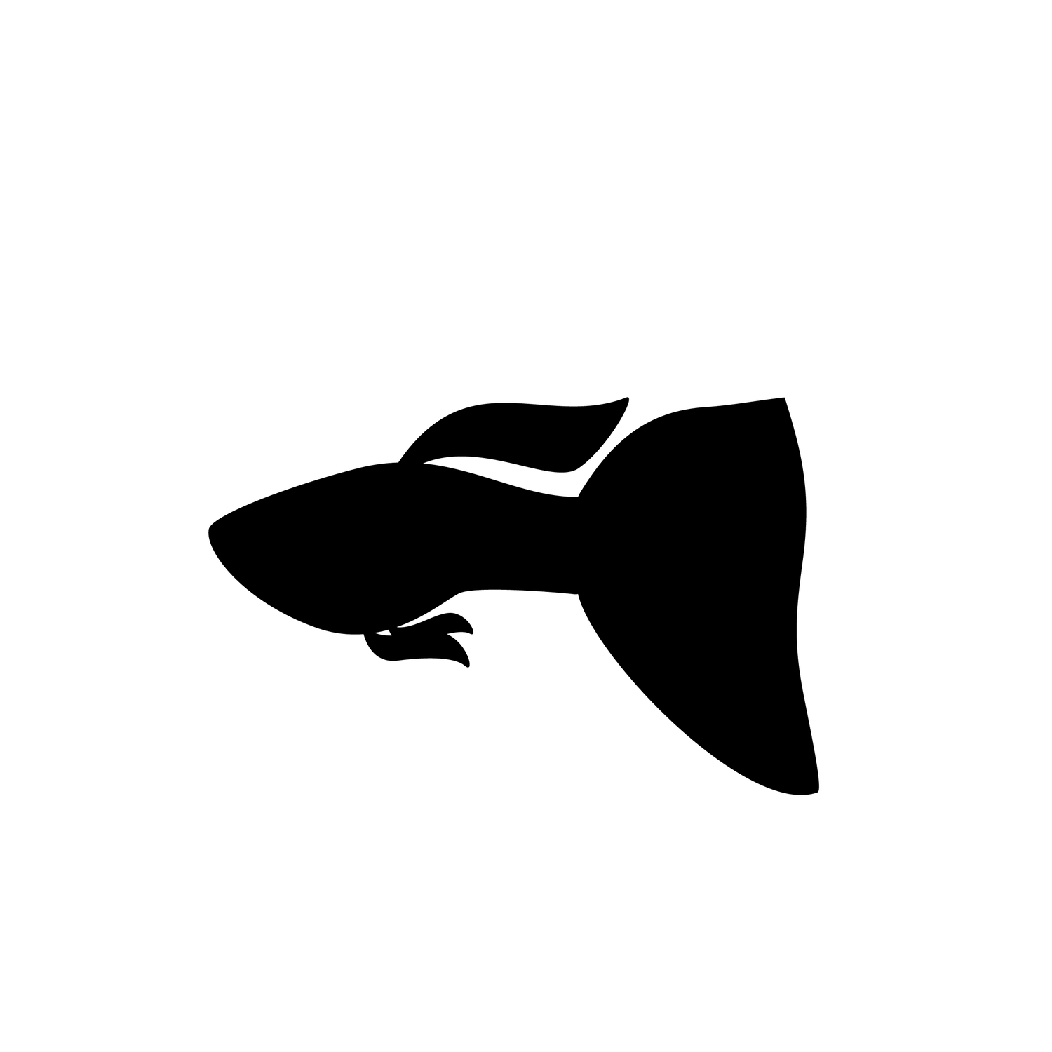 black silhouette of cute guppy fish icon