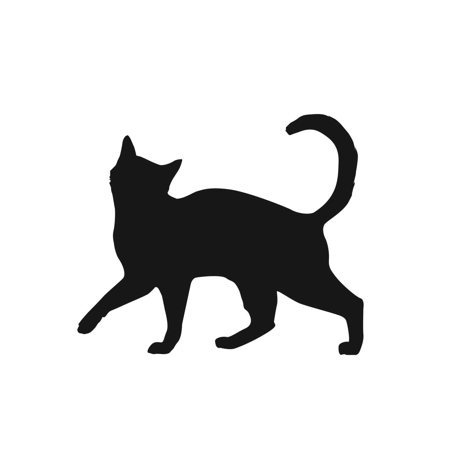 black walking cat silhouettes perfect for pet-themed decor and creative projects