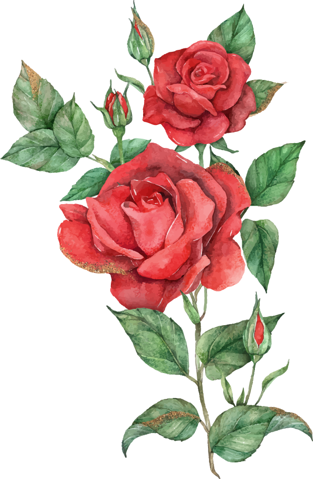 blooming red rose flower set for beautiful floral arrangements and invitations