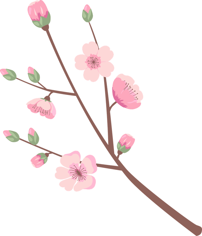 blooming sakura branches illustration for beautiful spring-themed decor and stationery