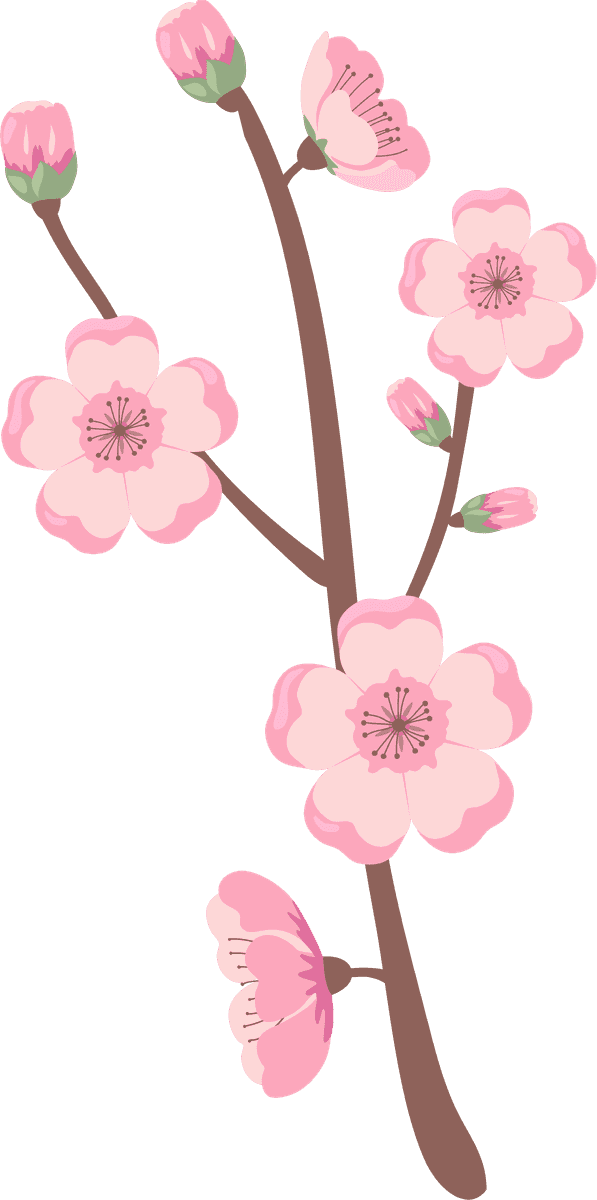 blooming sakura branches illustration for spring decor and seasonal celebrations