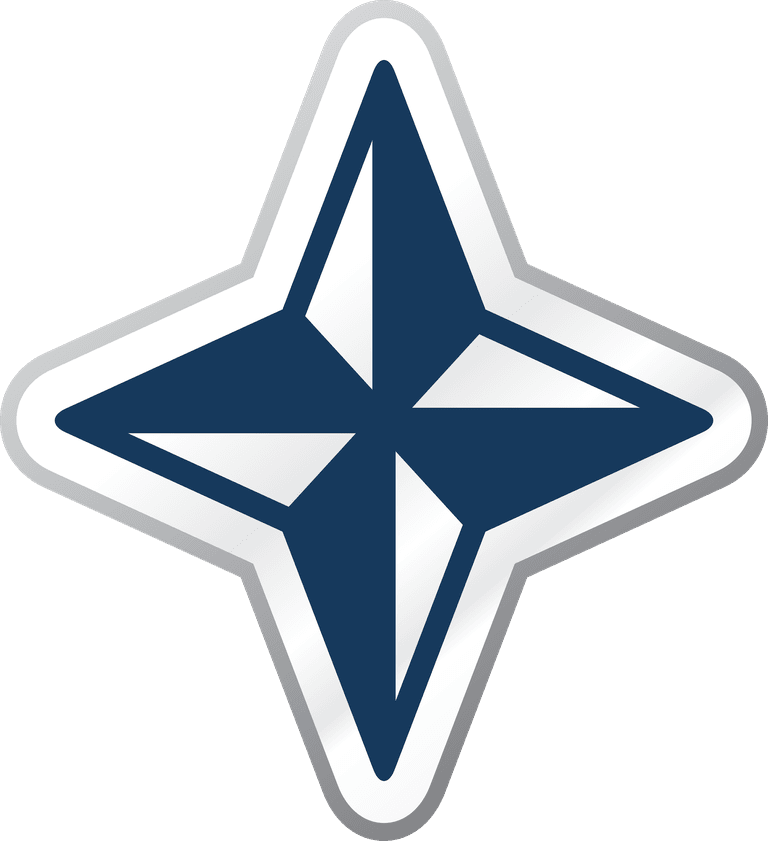 blue cartoon icon vector of a star shape suitable for mobile apps and websites