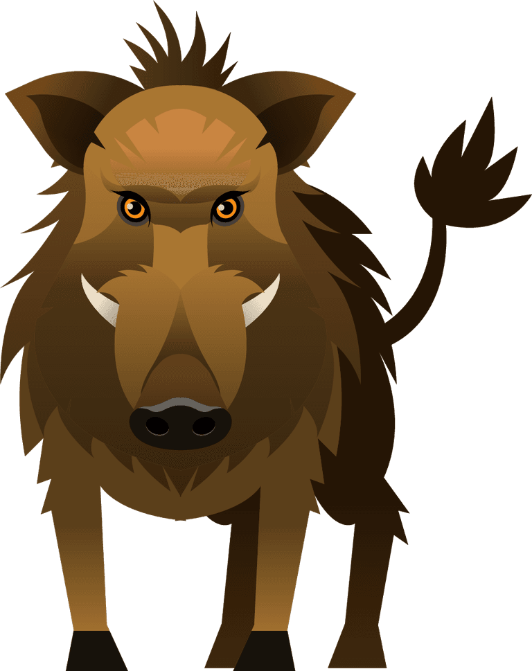 boar animals species icons lion tiger fox boar sketch