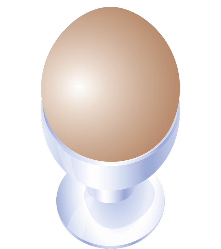 boiled eggs western cuisine vector
