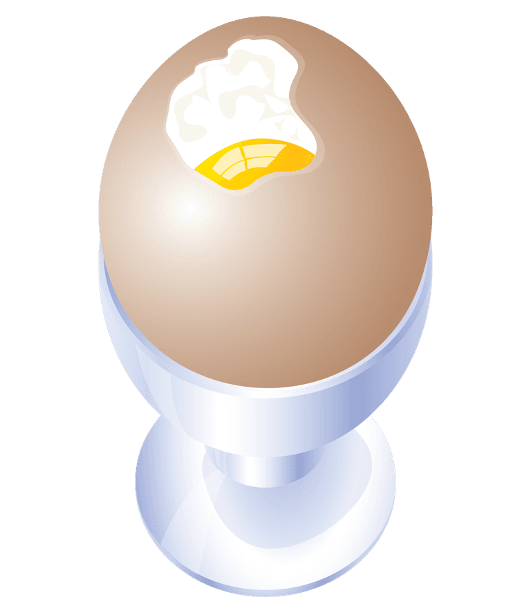 boiled eggs western cuisine vector