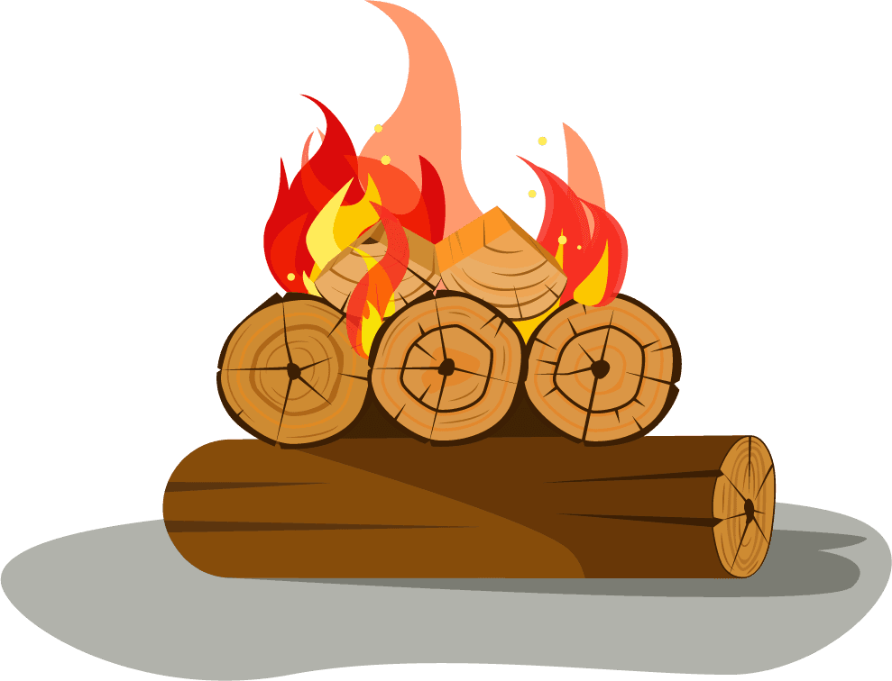 bonfire fire firewood illustration