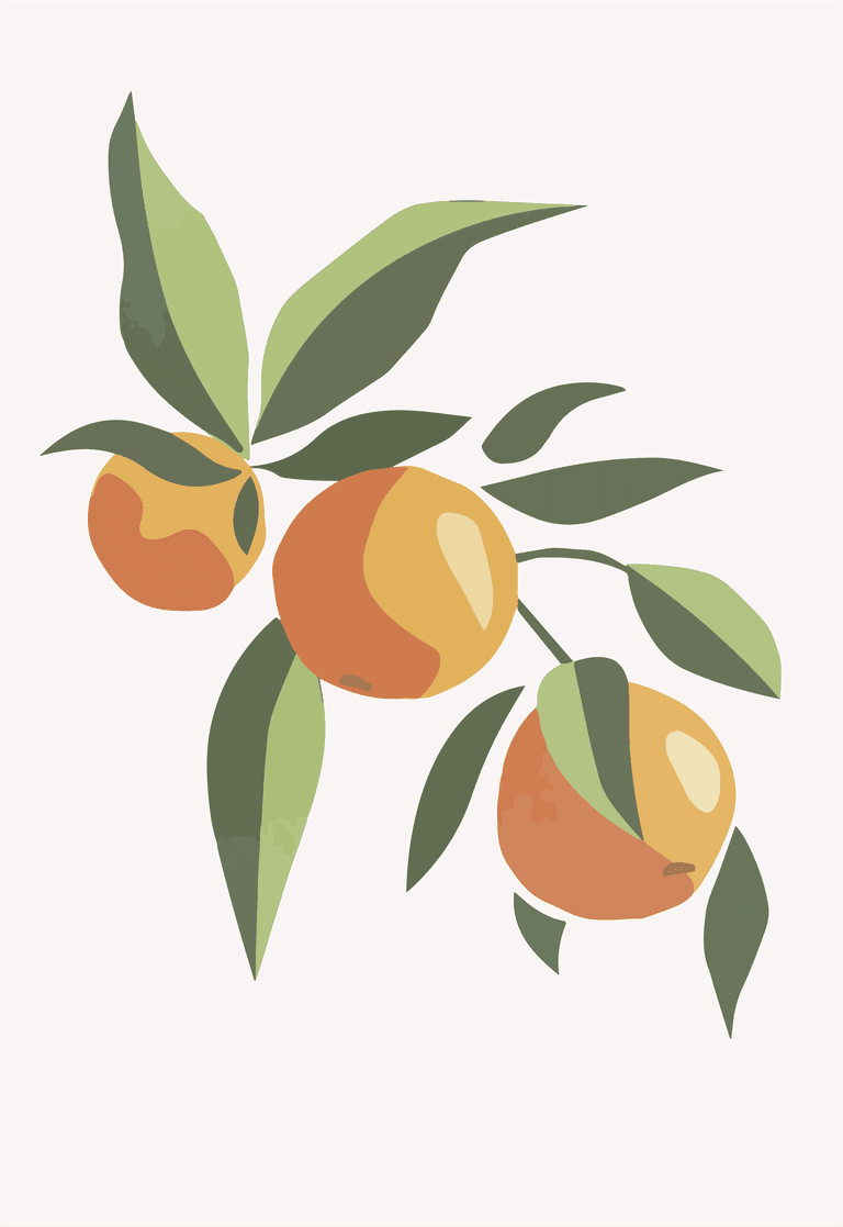 bontanical orange on background pink vector