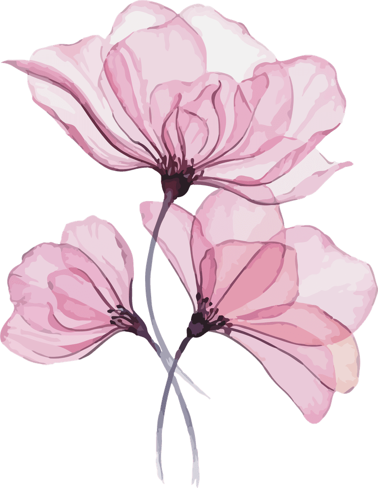 botanical art cover featuring delicate pink flowers for nature-inspired aesthetics