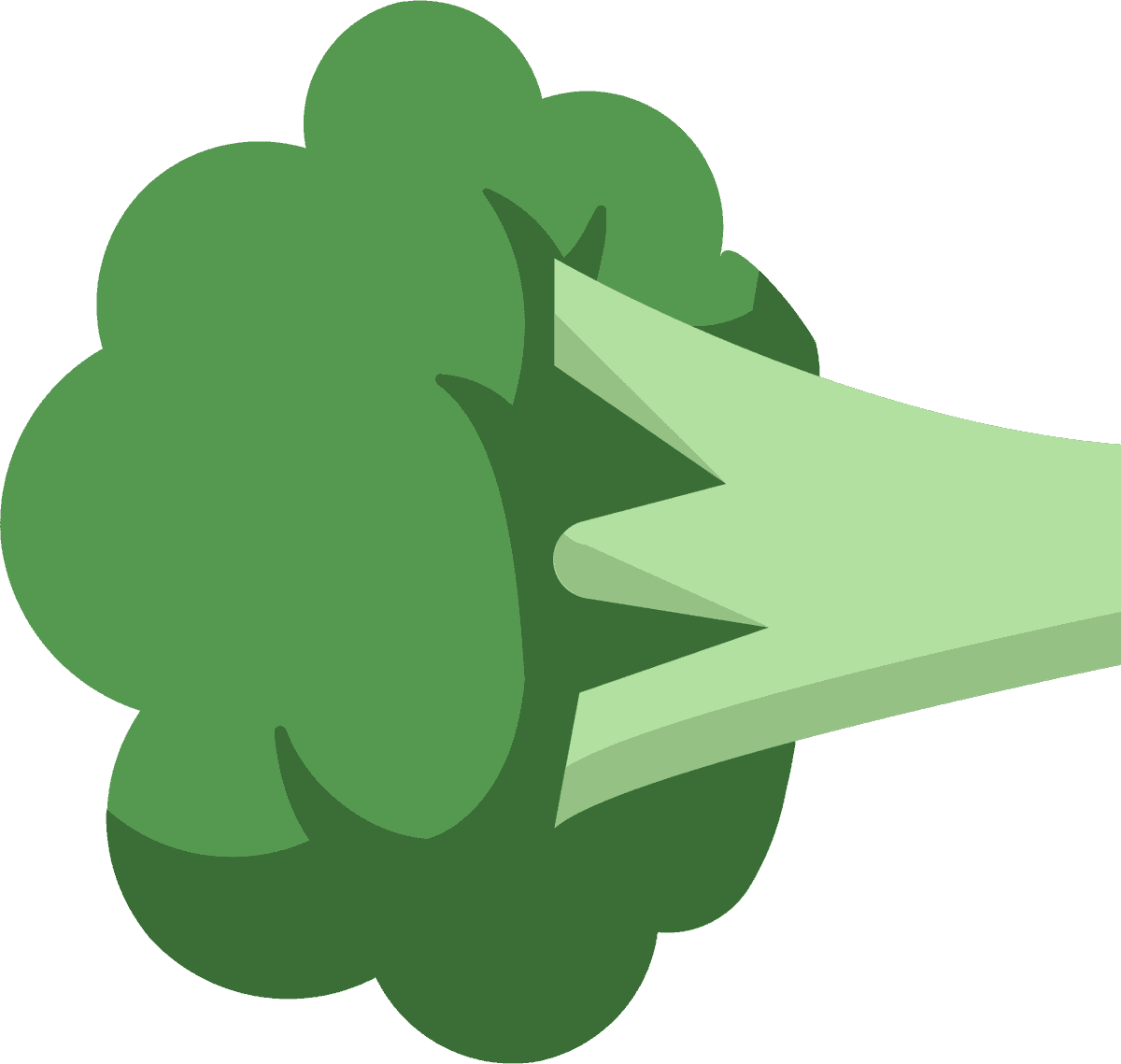 broccoli cooking ingredients tools vector for healthy meal preparation and recipe creation