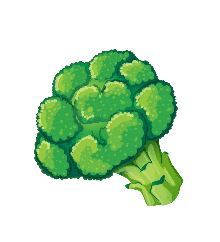 broccoli pile fresh vegetables fruits