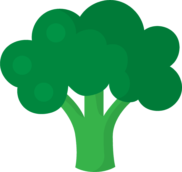 broccoli vegetable icons collection