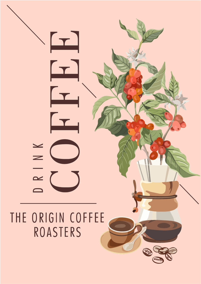 brochure coffee patterns and textures featuring roaster branding and fresh beans for cafes