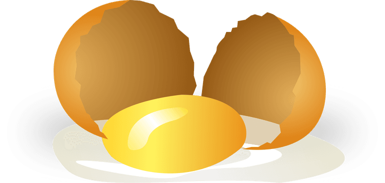broken egg broken eggs of various shapes