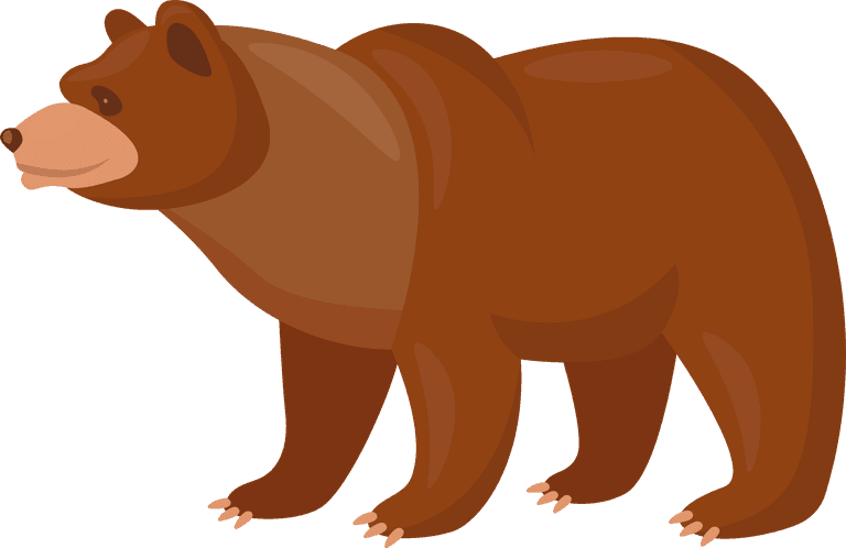 brown bear brown bears set