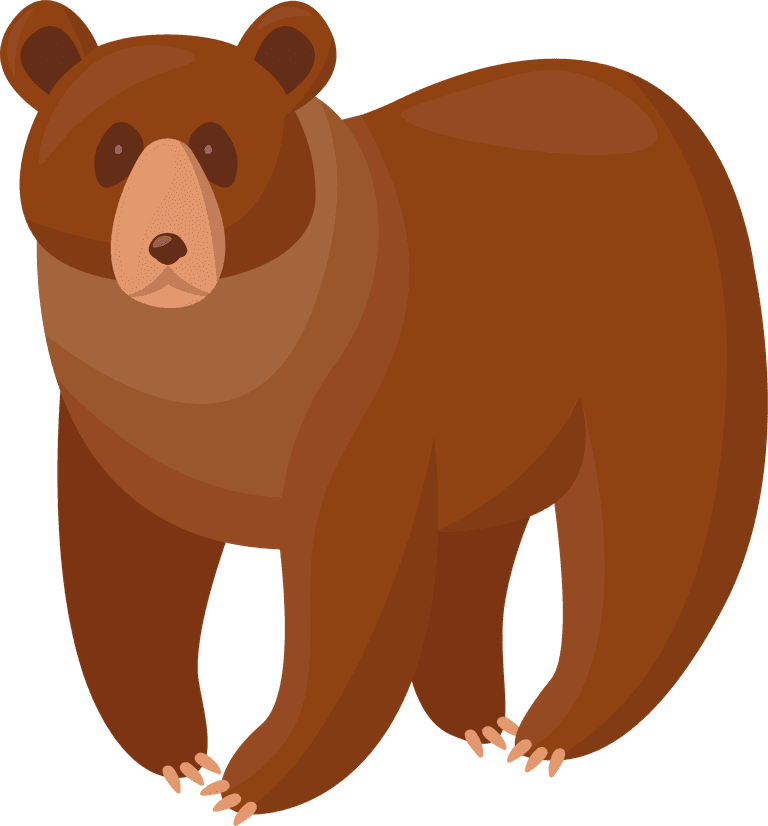 brown bear brown bears set