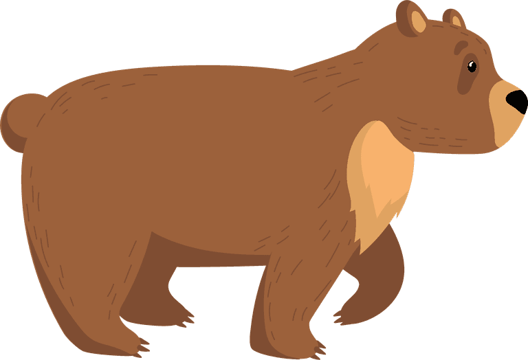 brown bear funny grizzly bears set
