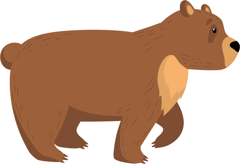 brown bear funny grizzly bears set