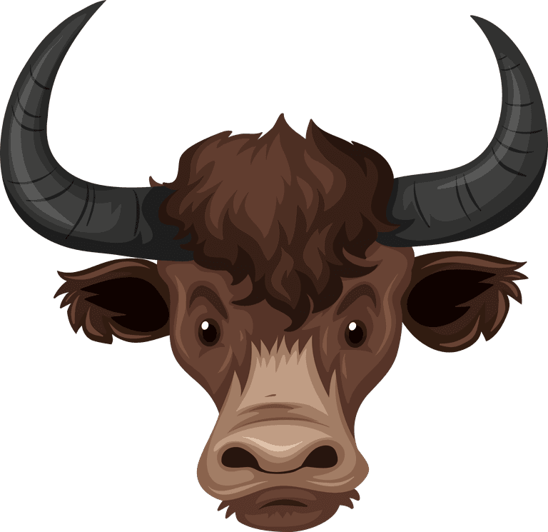 buffalo head animal heads illustration